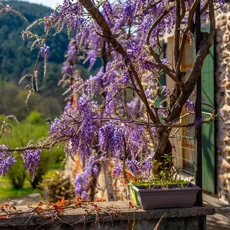 Apartamento Mas Du Pommier Gala